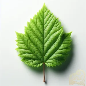 Intricate Green Leaf Detail
