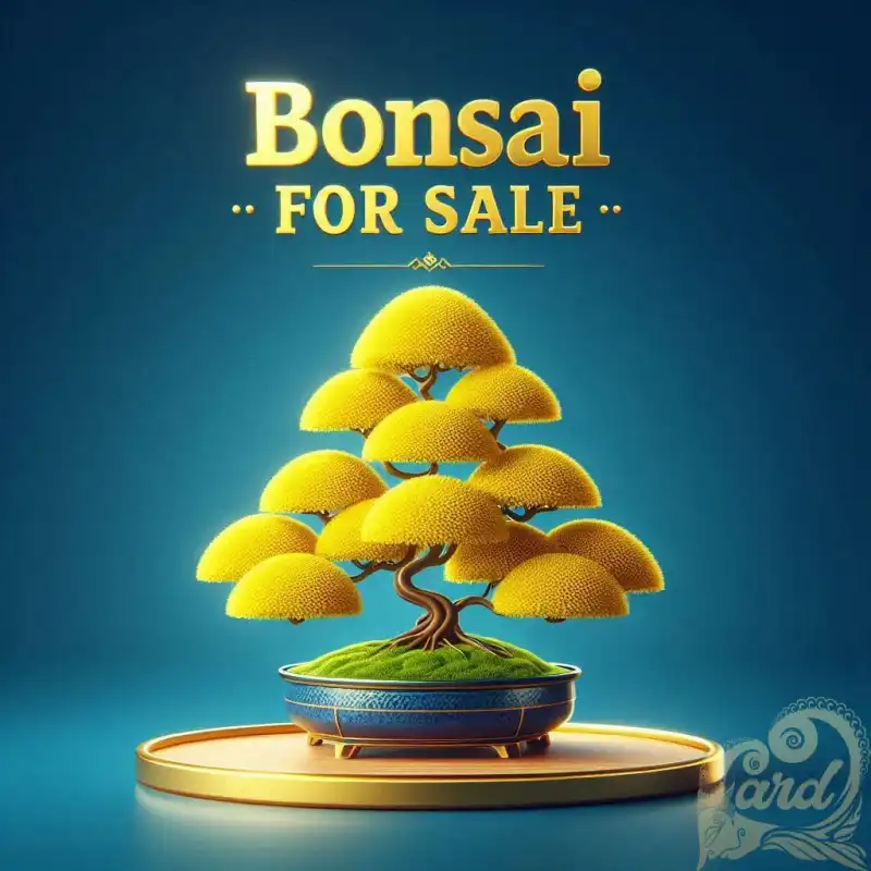 Yellow Bonsai Poster